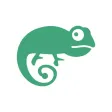 Chameleon: hide your secrets Chameleon: hide your secrets