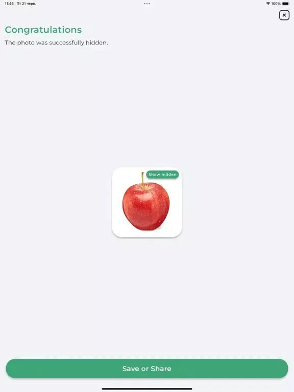 Capturas de tela do Chameleon: hide your secrets iPad 