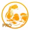 Моя тренировка PRO