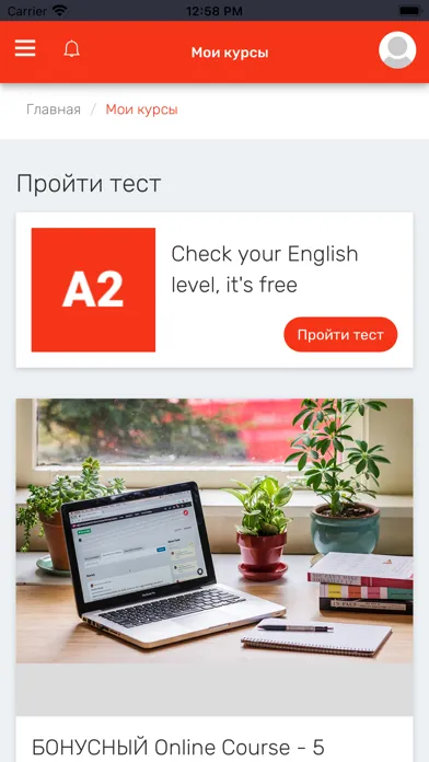 Present Simple English School 스크린샷