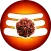 Chanakya Vani
