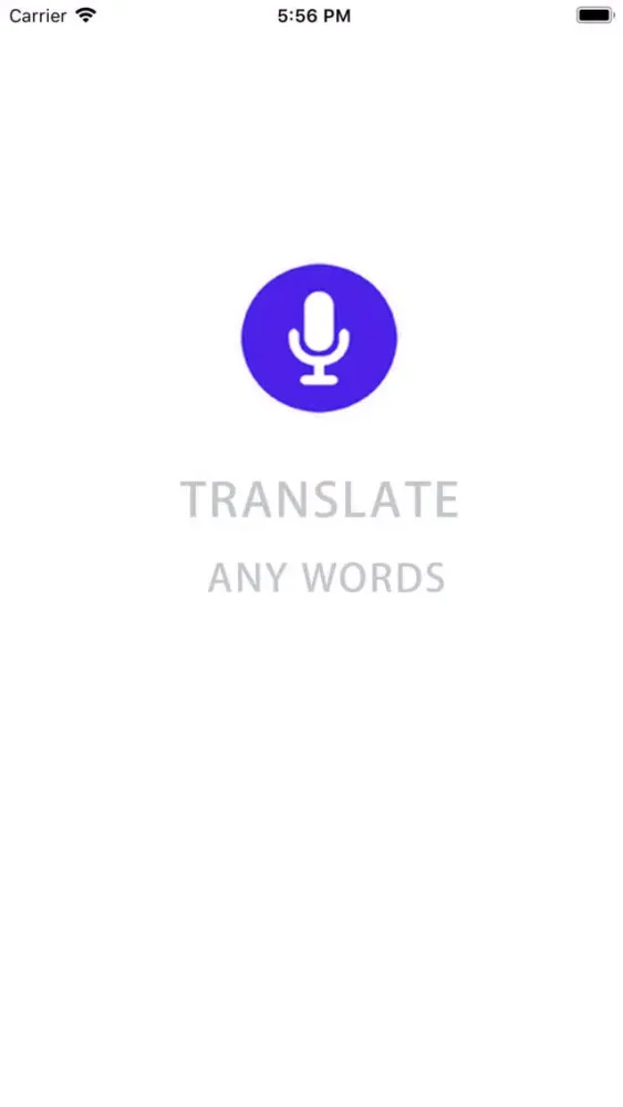 Tangkapan layar Translator any words