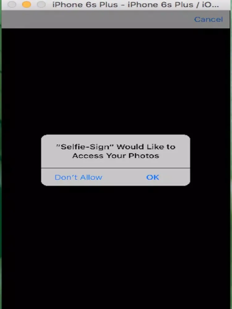 Selfie-Sign iPad  Screenshots