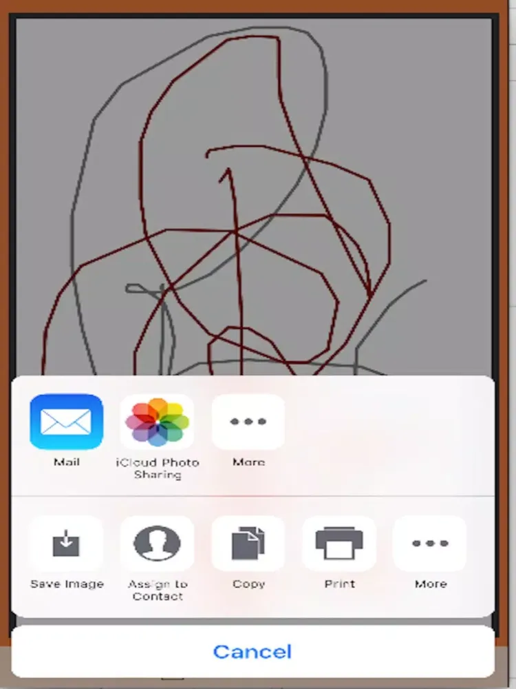 Selfie-Sign iPad  Screenshots
