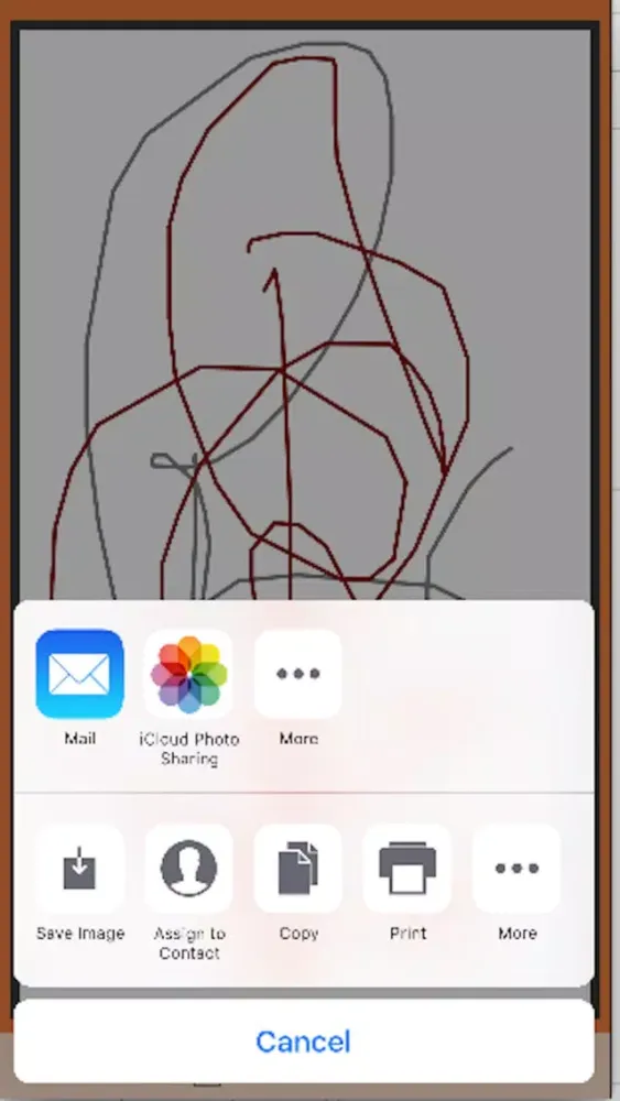 Selfie-Sign Screenshots