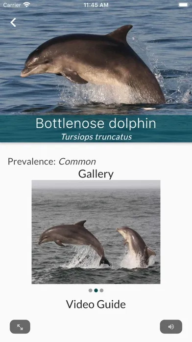 Sea Watcher Screenshots