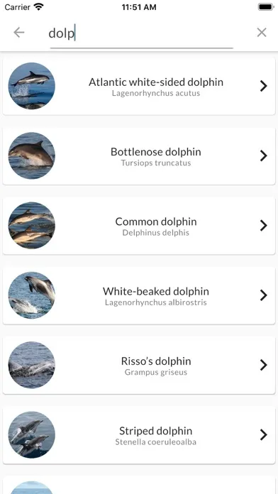 Sea Watcher Screenshots