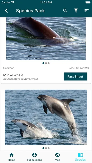 Sea Watcher Screenshots
