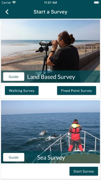 Sea Watcher Screenshots