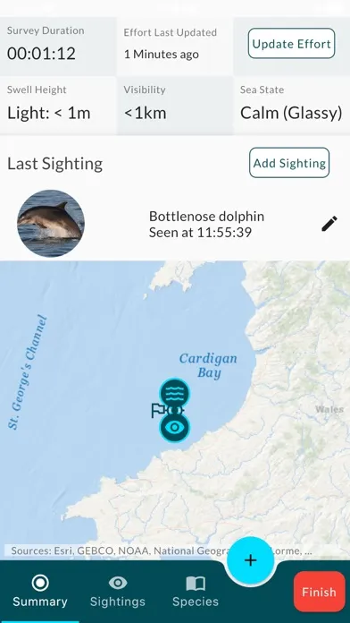 Sea Watcher Screenshots