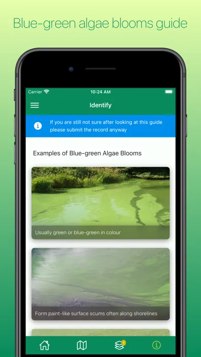 Bloomin' Algae Screenshots