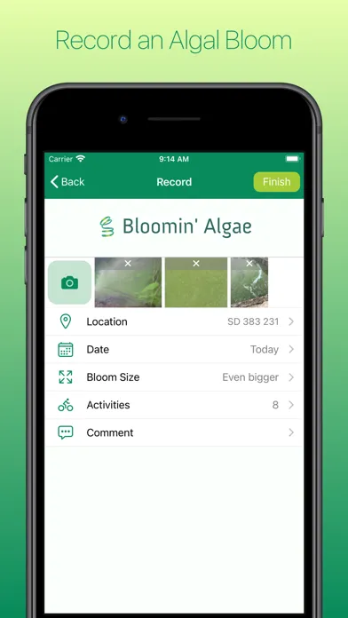 Bloomin' Algae Screenshots