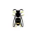 Asian Hornet Watch