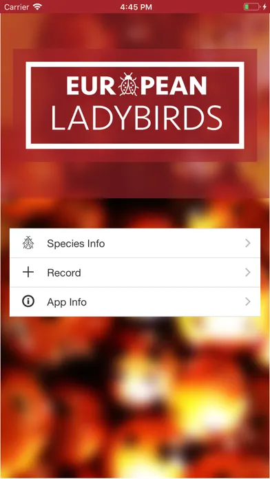 European Ladybirds স্ক্রিনশট