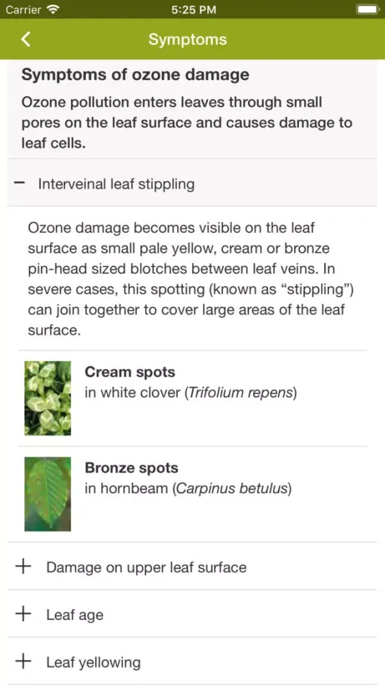 Capturas de tela do Ozone Injury