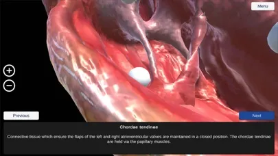 Ảnh chụp màn hình của Human Heart