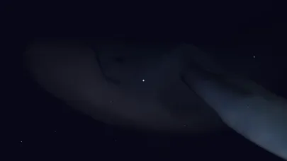 Capturas de tela do Virtual Oceans
