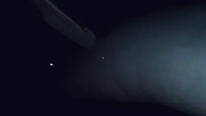 Capturas de tela do Virtual Oceans