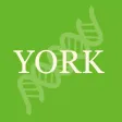 Biosciences@York