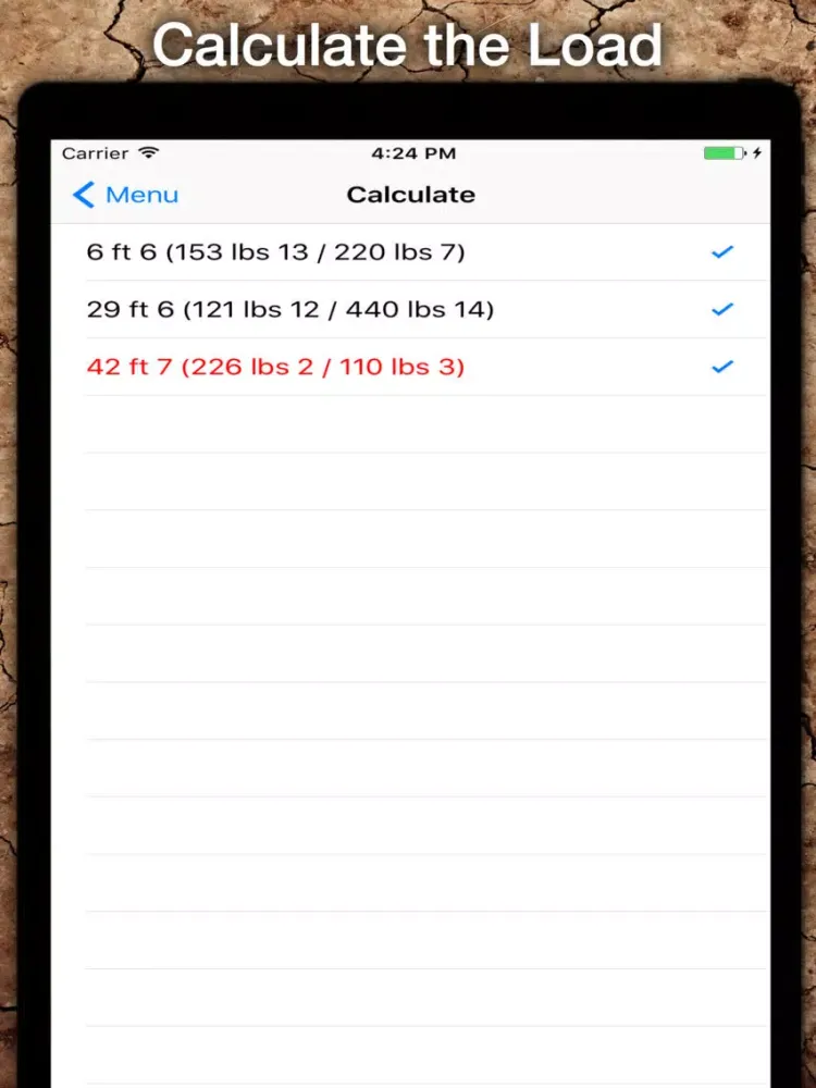 Ảnh chụp màn hình của Truss Calculator iPad 