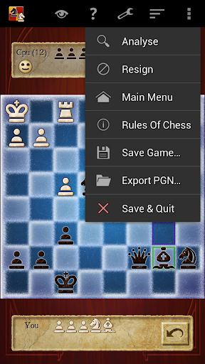 Chess Pro Screenshots7