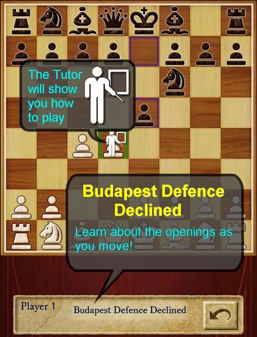 Chess Pro-screenshot-3