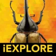 iBugs AR