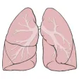 7Breaths - Respiratory rate calculator
