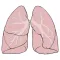 7Breaths - Respiratory rate calculator