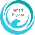 Smart Pigeon