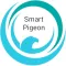 Smart Pigeon