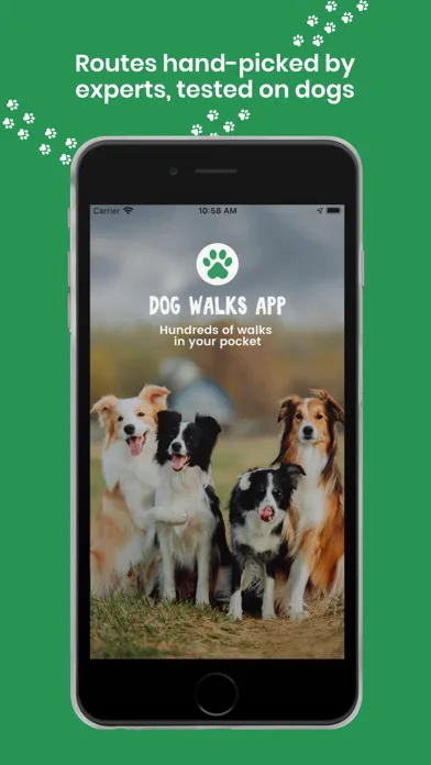 Tangkapan skrin Dog Walks