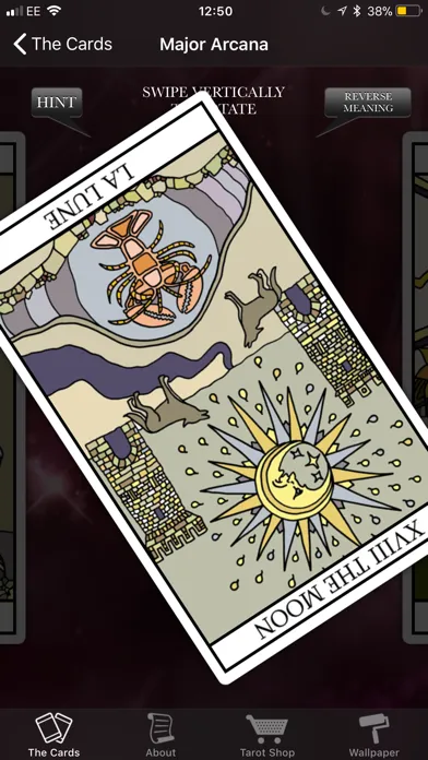 Tarot Card Meanings Ekran Görüntüleri
