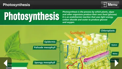 Biology GCSE Screenshots