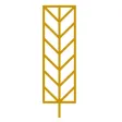 National Youth Film Academy