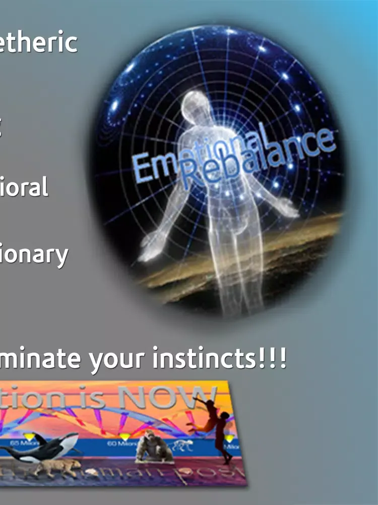 Emotional Rebalance iPad  스크린샷