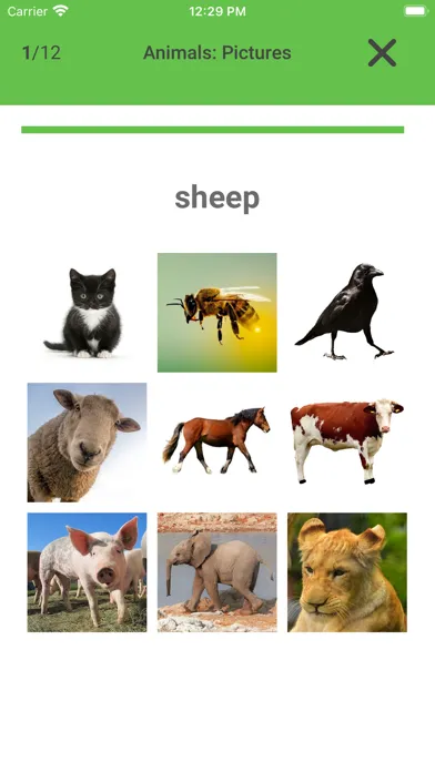 Скриншоты English Vocabulary - CEFR A1