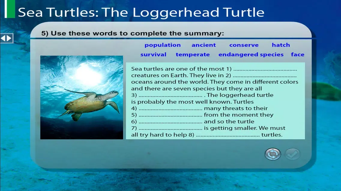 LoggerheadTurtle 스크린샷