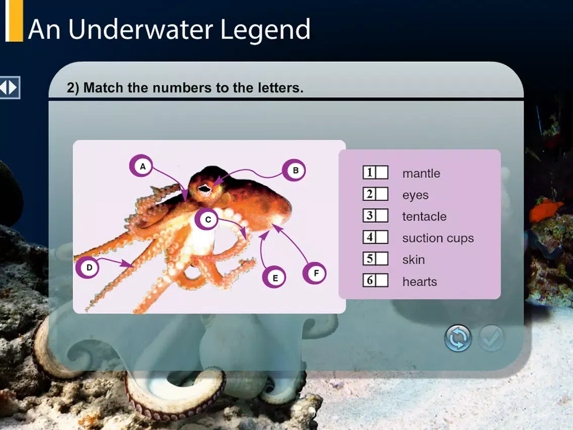 Zrzuty ekranu TheOctopus iPad 