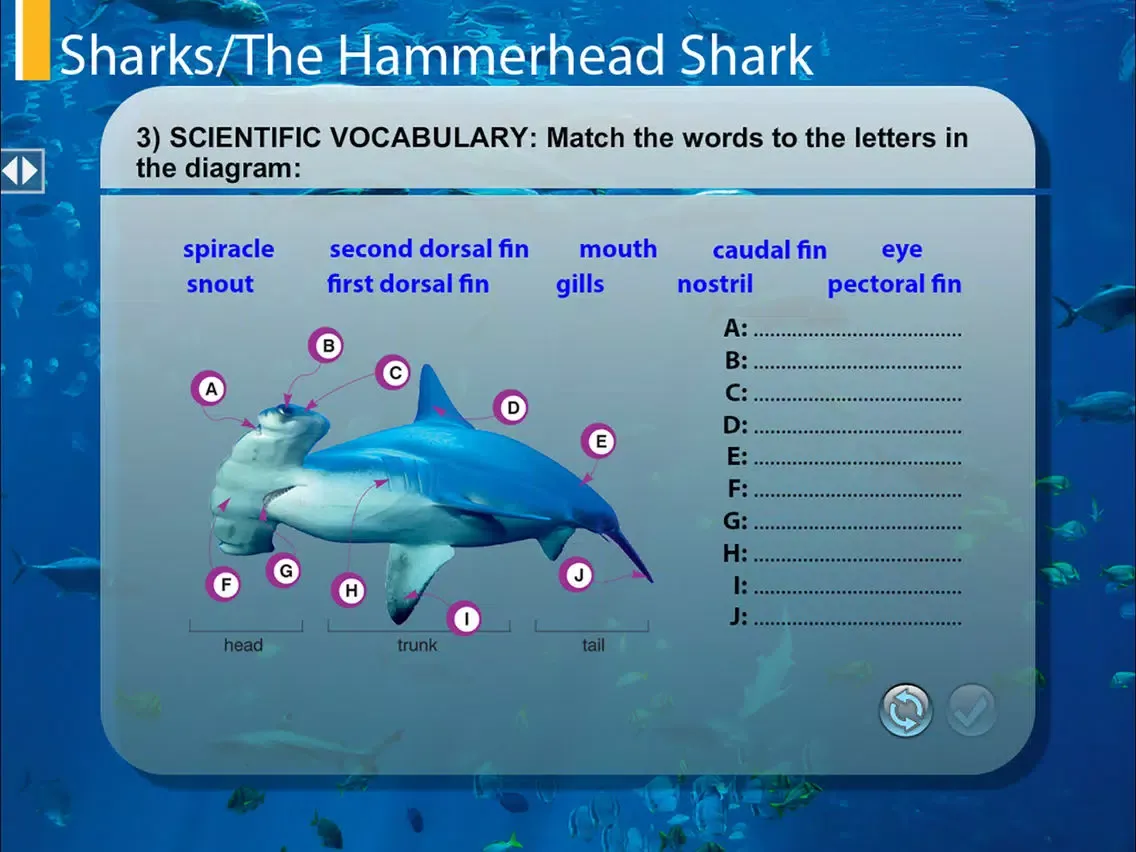 Zrzuty ekranu TheHammerheadShark iPad 