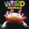 Weird Animals - CLIL Reader