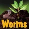 TheWorms