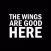The Wings are Good Here