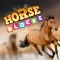 Horse Blocks - Puzzle Games