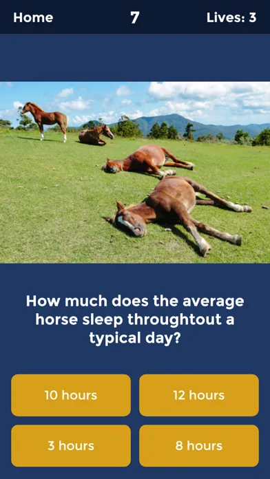 Horse Quiz by HayGrazer স্ক্রিনশট