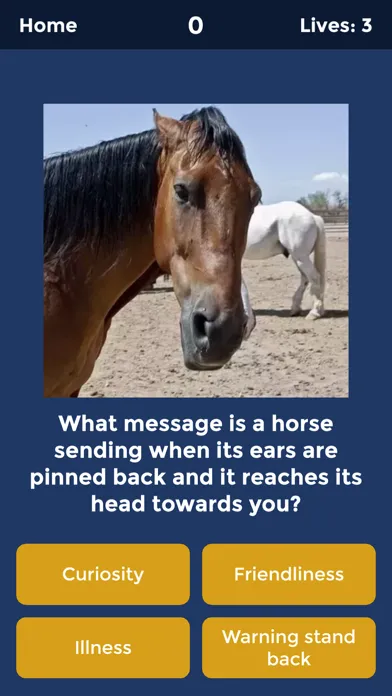 Horse Quiz by HayGrazer স্ক্রিনশট
