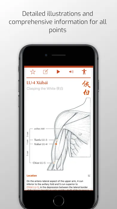 Tangkapan layar A Manual of Acupuncture