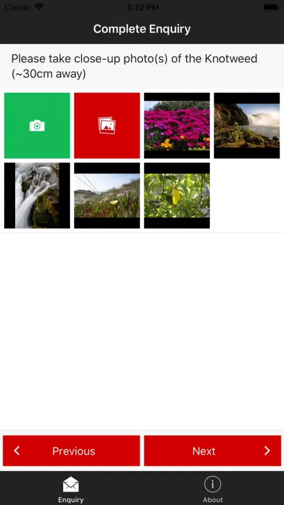 Screenshot di Knotweed Management Plan