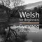 Welsh for Beginners