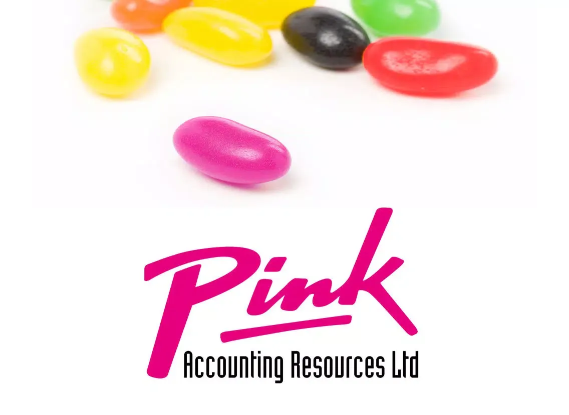 Pink Accounting Resources iPad  スクリーンショット